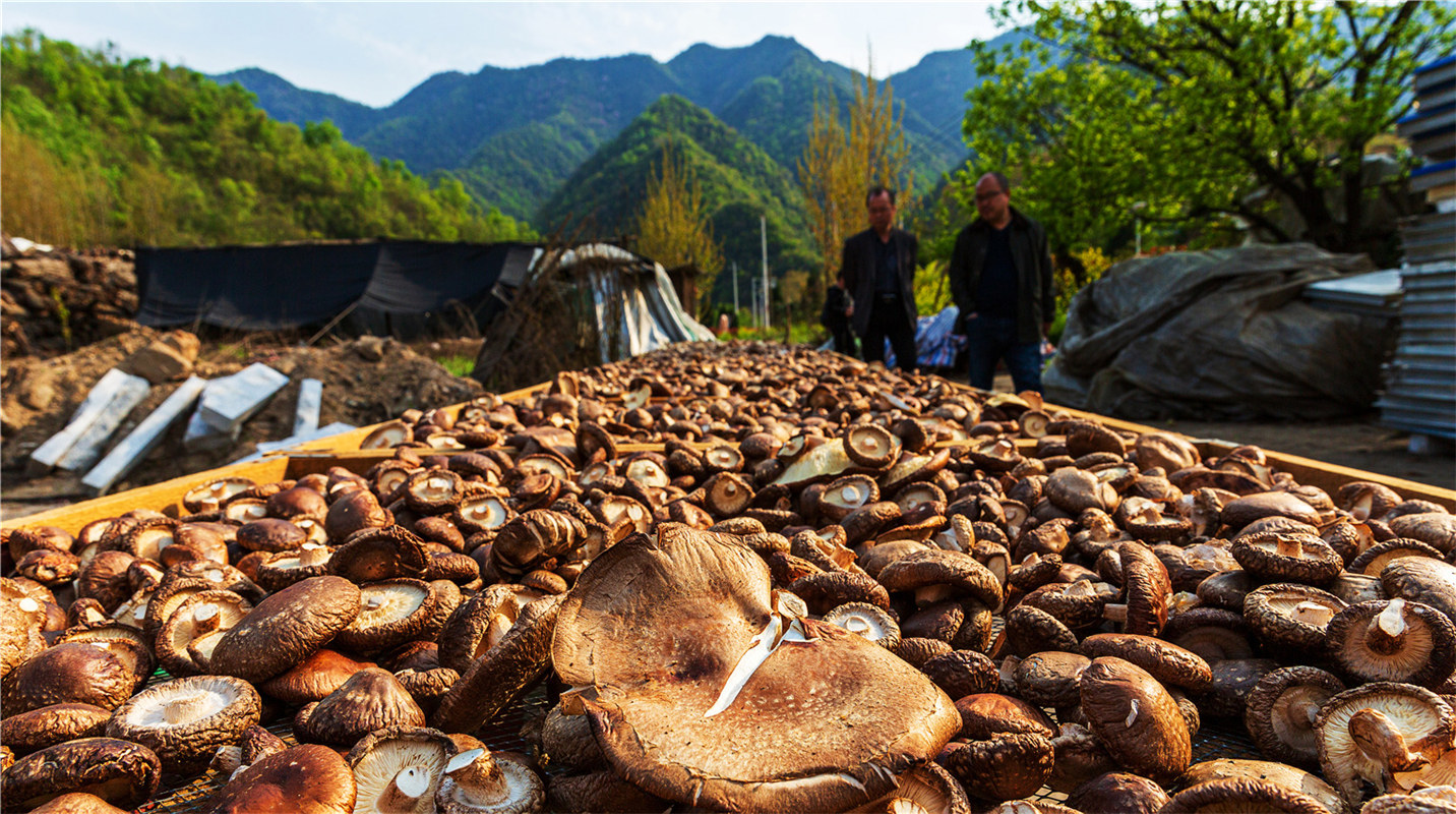 《結(jié)對(duì)幫扶，碩果累累》高波
